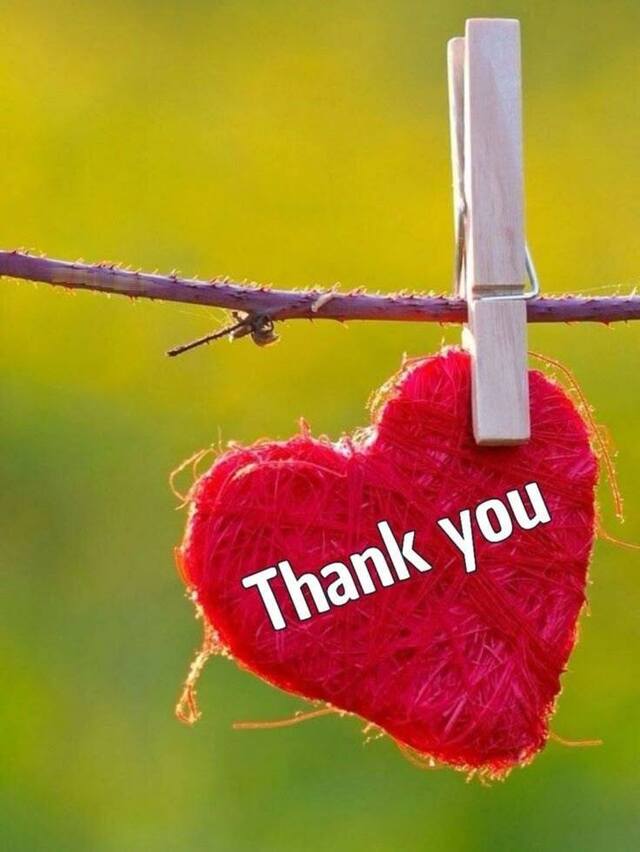 お疲れ様です(｡･ᴗ･)_🍵