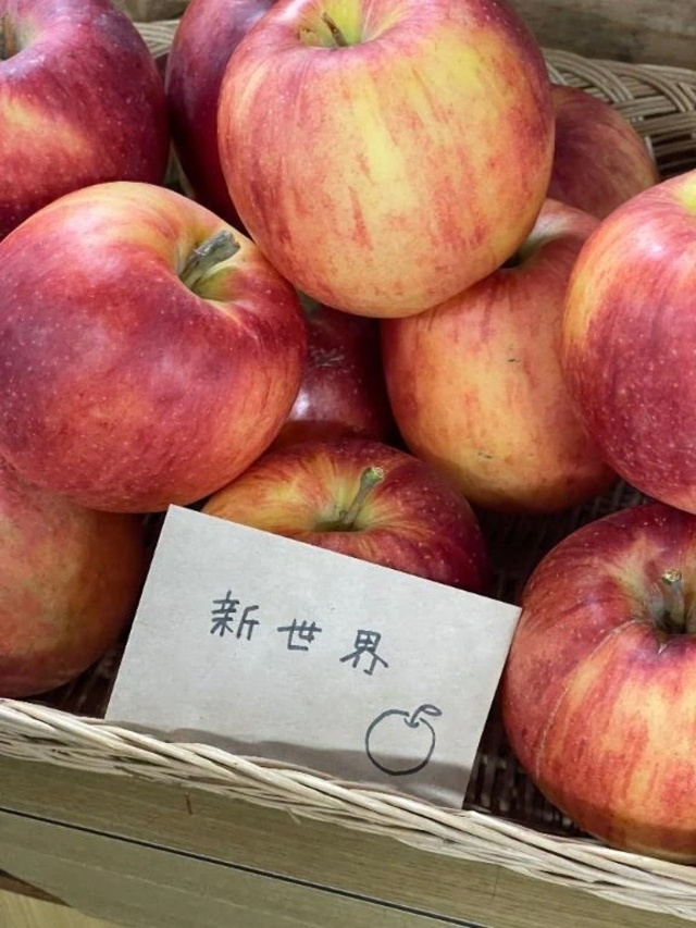 🐈‍⬛さんー、