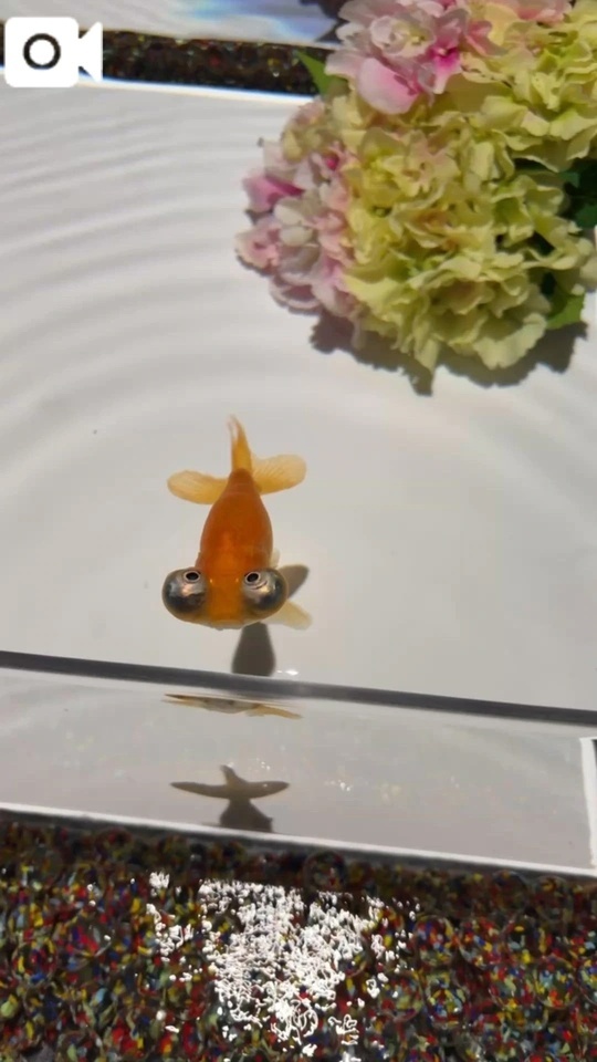趣味を教えてね❣️