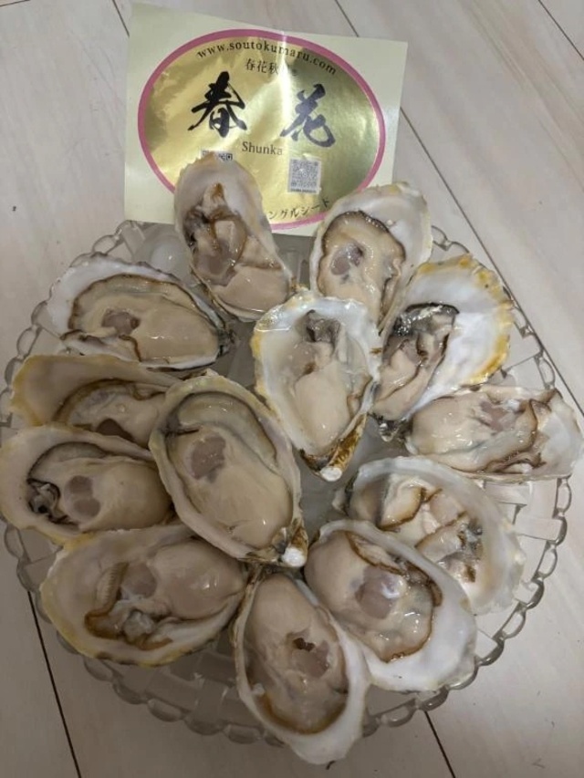 🍉今週の〇〇シリーズ🦪｜写メ日記｜青山みさと｜錦糸町・小岩・葛西 一般デリヘル ウルトラハピネス