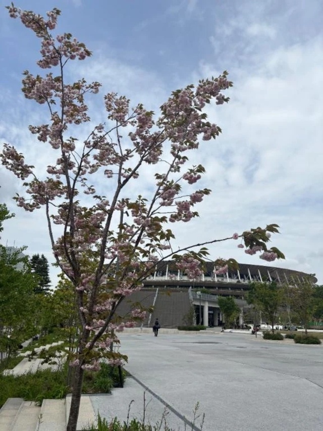 🍉おはよー｜写メ日記｜青山みさと｜錦糸町・小岩・葛西 一般デリヘル ウルトラハピネス