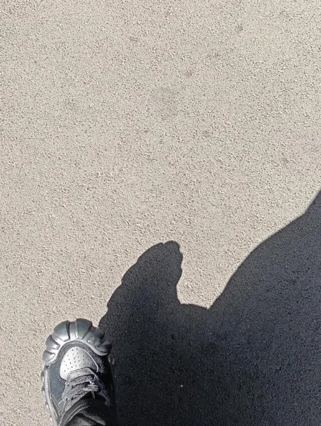 🩶おにゅー🩶｜写メ日記｜めぐ｜錦糸町・小岩・葛西 一般デリヘル ウルトラハピネス