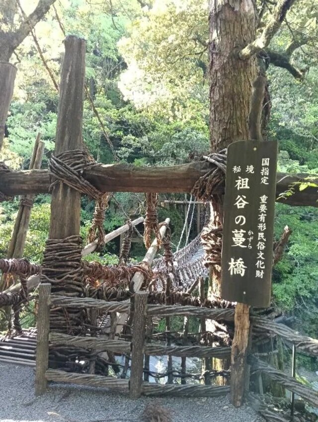 🩶唯一の🩶