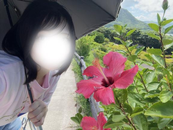 こんばんは🌺｜写メ日記｜藤咲める｜錦糸町・小岩・葛西 一般デリヘル ウルトラハピネス