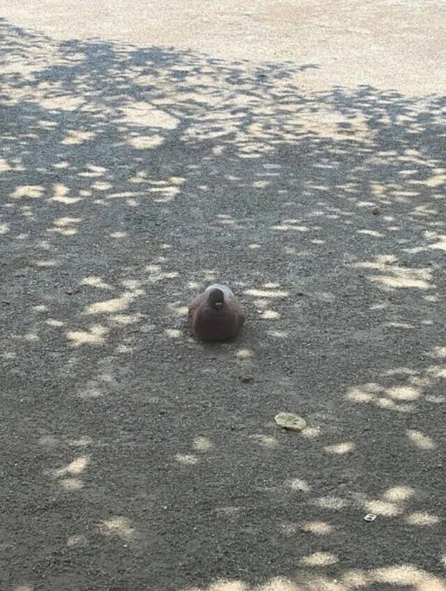 お休みについて
