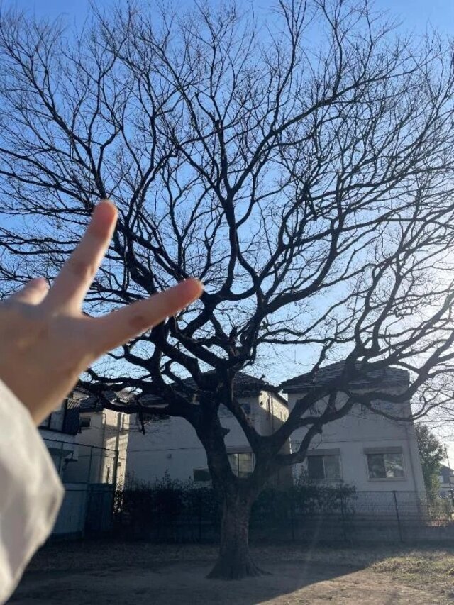 今なにしてるの？