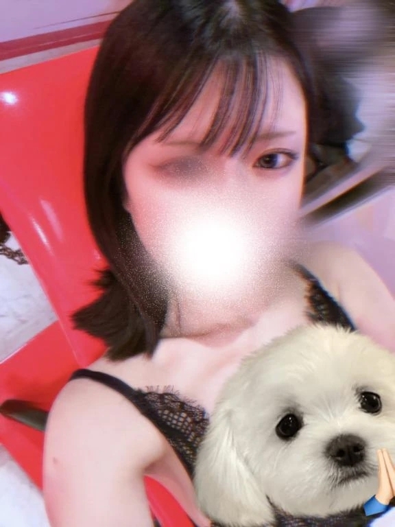 本日も( ´•_•ก)｜写メ日記｜吉川なみ｜錦糸町・小岩・葛西 一般デリヘル ウルトラハピネス