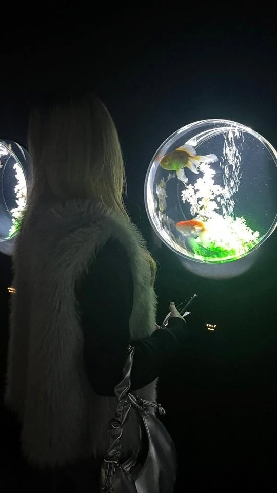 今日︎💕︎｜写メ日記｜山本はく｜錦糸町・小岩・葛西 一般デリヘル ウルトラハピネス