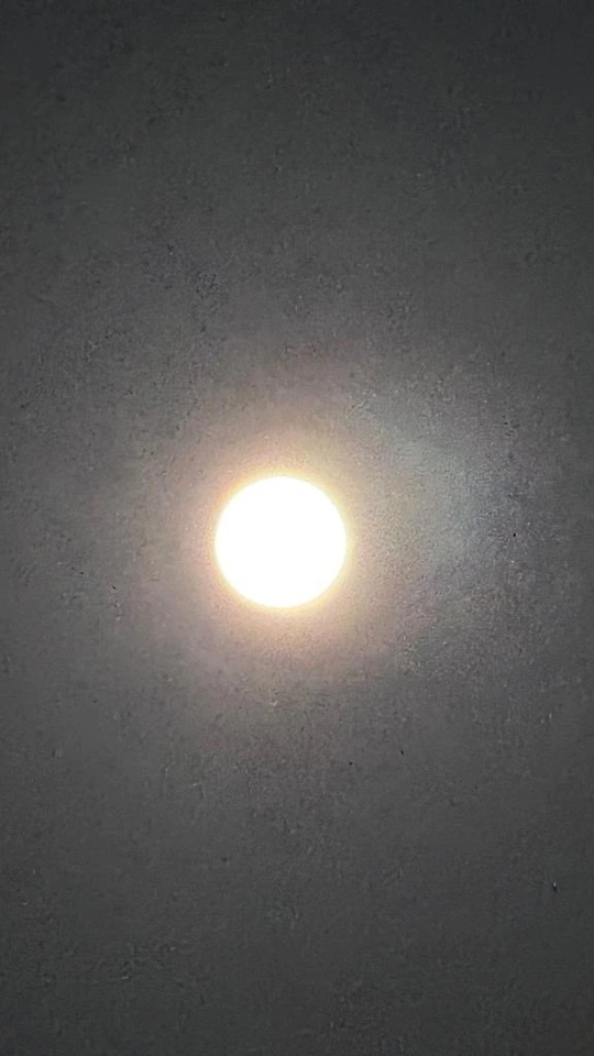 🌙MOON🌙｜写メ日記｜愛沢るか｜錦糸町・小岩・葛西 一般デリヘル ウルトラハピネス