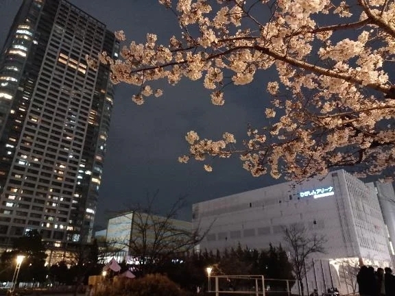 🌳待機中によく観るYouTube🎞⟡.·｜写メ日記｜沢村ありさ｜錦糸町・小岩・葛西 一般デリヘル ウルトラハピネス