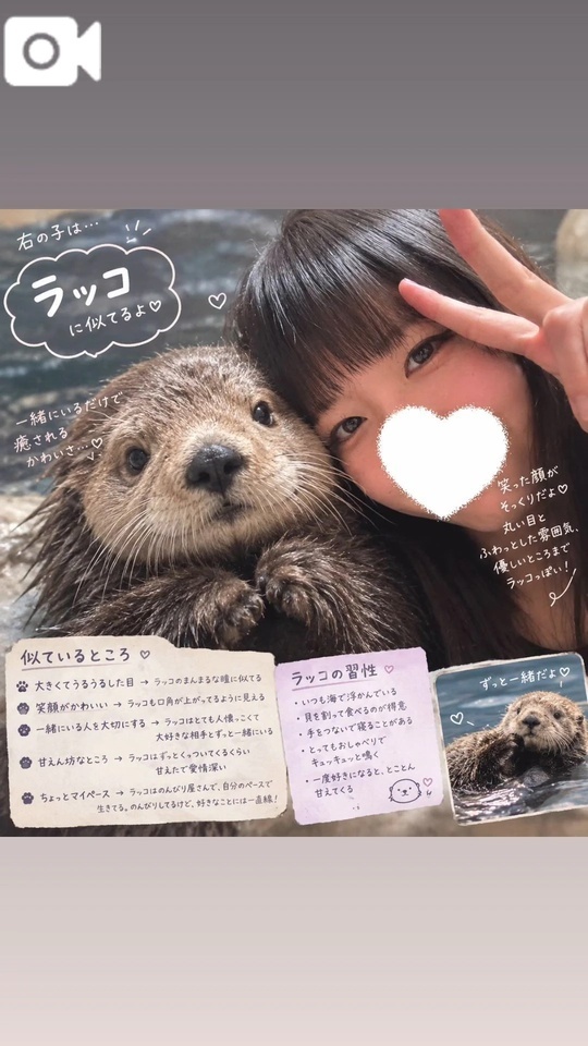 🦦💗｜写メ日記｜紫吹らん｜錦糸町・小岩・葛西 一般デリヘル ウルトラハピネス