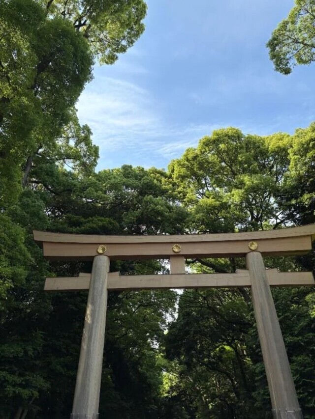 🌸｜写メ日記｜みやび｜鶯谷 人妻デリヘル 濃厚即19妻