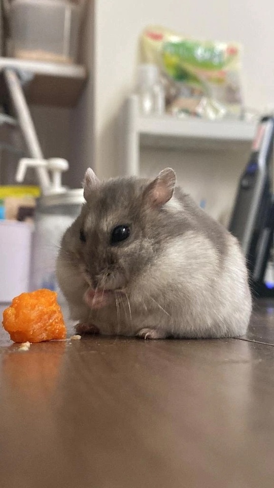 2/11水も追加でいくょん🥰｜写メ日記｜さゆり｜鶯谷 人妻デリヘル 濃厚即19妻