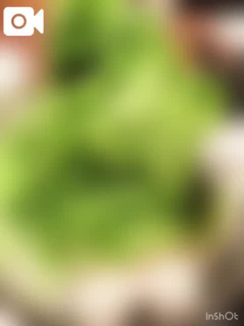 〖初詣した〜🍧︎💕︎〗｜写メ日記｜まゆか｜鶯谷 人妻デリヘル 濃厚即19妻