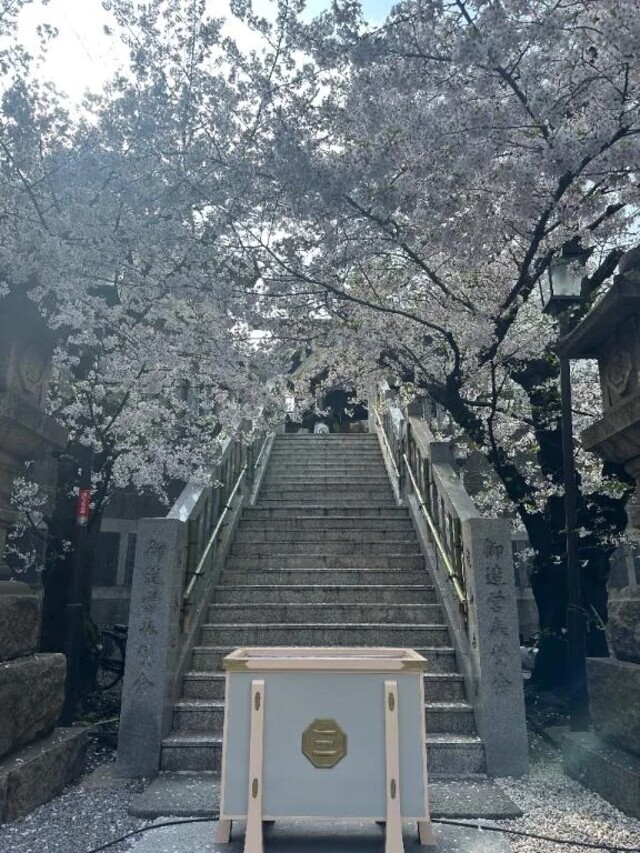 〖とれたてフレッシュ🍑🌸💕💕💕〗｜写メ日記｜まゆか｜鶯谷 人妻デリヘル 濃厚即19妻