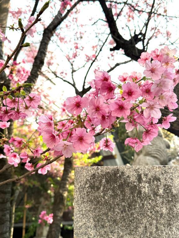 まだ見れるかな？｜写メ日記｜ゆか｜鶯谷 人妻デリヘル 濃厚即19妻