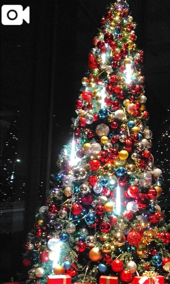 - ̗̀ 🤍🎄𝑀𝑒𝑟𝑟𝑦 𝐶ℎ𝑟𝑖𝑠𝑡𝑚𝑎𝑠🎄🤍  ̖́-｜写メ日記｜まゆ｜鶯谷 人妻デリヘル 濃厚即19妻