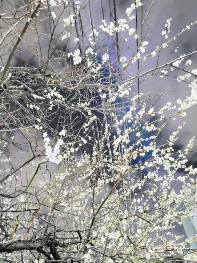 兆し。｜写メ日記｜まゆ｜鶯谷 人妻デリヘル 濃厚即19妻