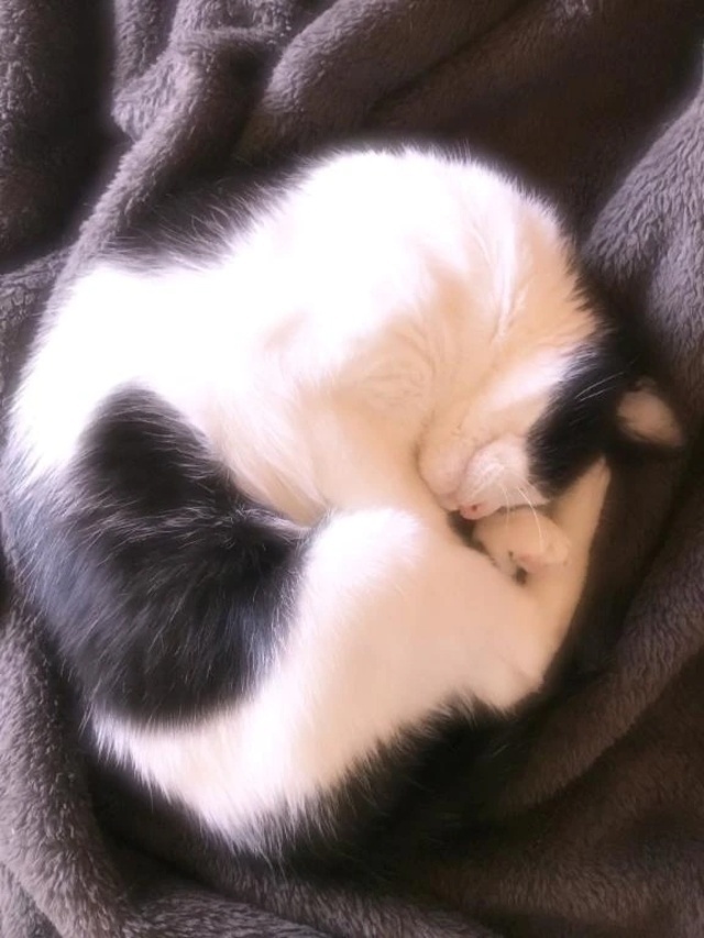 出勤〜(*´꒳`*)\(//∇//)\｜写メ日記｜あずさ｜鶯谷 人妻デリヘル 濃厚即19妻