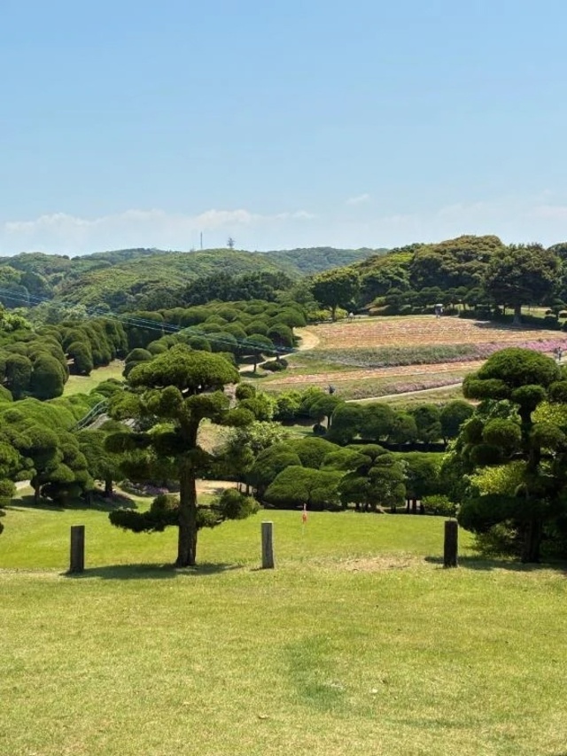 7月〜(´∀｀*)｜写メ日記｜あずさ｜鶯谷 人妻デリヘル 濃厚即19妻