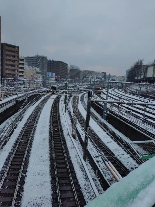 花粉を感じると・・・｜写メ日記｜せいか｜鶯谷 人妻デリヘル 濃厚即19妻