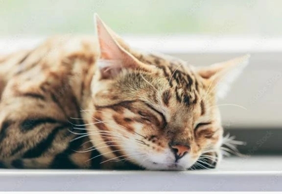 どんな感じにしようかな…💓｜写メ日記｜ゆうみ｜鶯谷 人妻デリヘル 濃厚即19妻