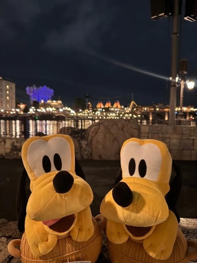 急遽おやすみ…？🫨｜写メ日記｜るい｜鶯谷 人妻デリヘル 濃厚即19妻