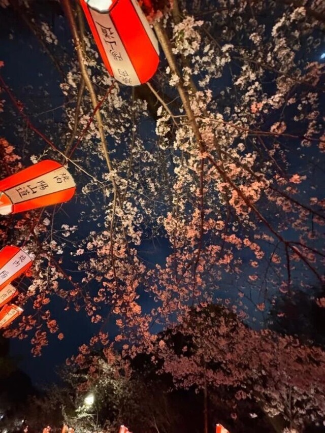 明日と水曜💭｜写メ日記｜るい｜鶯谷 人妻デリヘル 濃厚即19妻