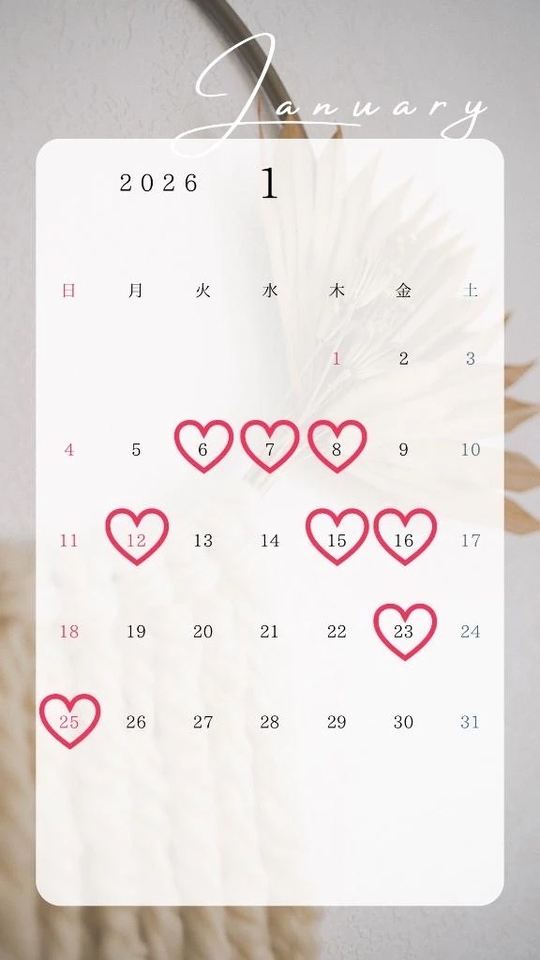 1月後半スケジュール💎｜写メ日記｜あやな｜鶯谷 人妻デリヘル 濃厚即19妻