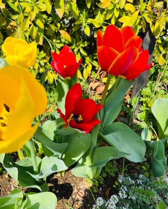 天国リスト｜写メ日記｜せな｜鶯谷 人妻デリヘル 濃厚即19妻