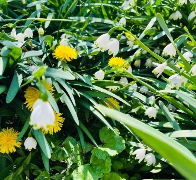 鈴蘭｜写メ日記｜せな｜鶯谷 人妻デリヘル 濃厚即19妻