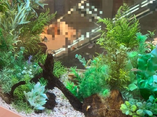 ロンリープラネット｜写メ日記｜せな｜鶯谷 人妻デリヘル 濃厚即19妻