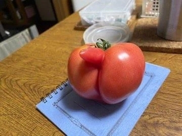 深謝❣️❣️｜写メ日記｜みほ｜鶯谷 人妻デリヘル 濃厚即19妻