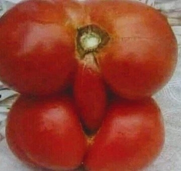 おはようございます❣️❣️｜写メ日記｜みほ｜鶯谷 人妻デリヘル 濃厚即19妻