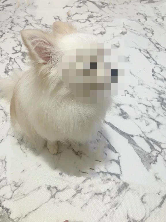 おはようございます⭐︎｜写メ日記｜しおん｜鶯谷 人妻デリヘル 濃厚即19妻