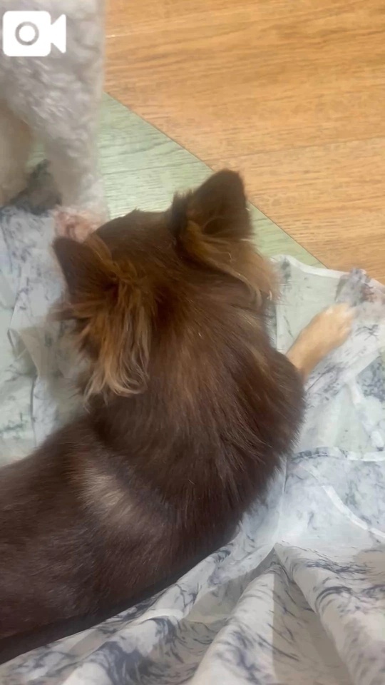 次回は25日🙂‍↕️｜写メ日記｜たえ｜鶯谷 人妻デリヘル 濃厚即19妻