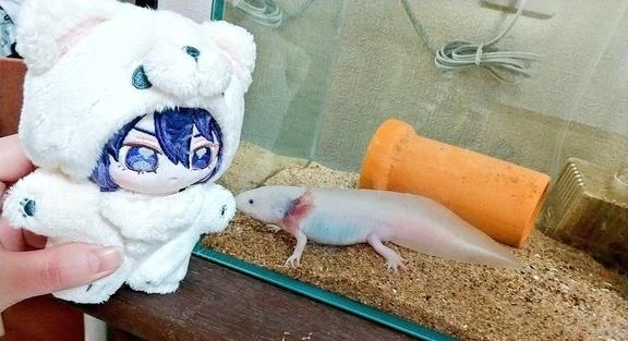 陸の孤島！💦｜写メ日記｜まよい｜鶯谷 人妻デリヘル 濃厚即19妻