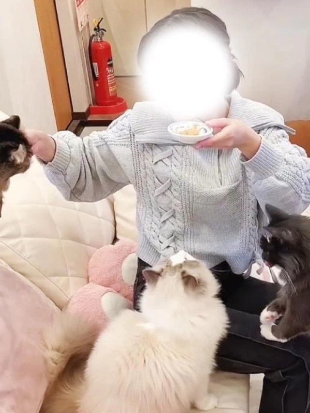 まとめ情報📢｜写メ日記｜ひかり｜鶯谷 人妻デリヘル 濃厚即19妻