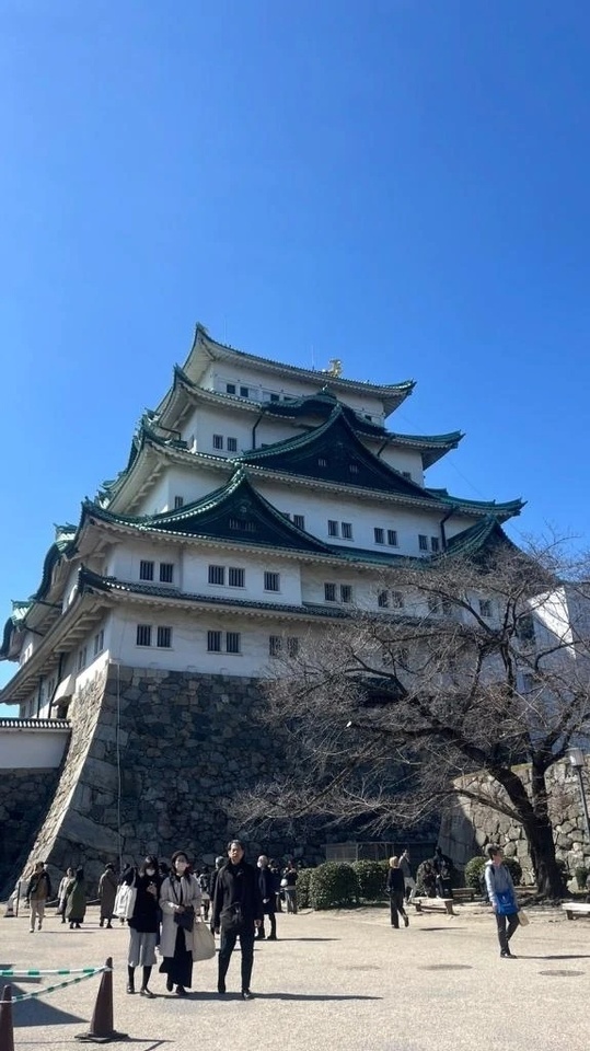 今日からいます🙋‍♀️ 初体験してきた！｜写メ日記｜のあ｜鶯谷 人妻デリヘル 濃厚即19妻