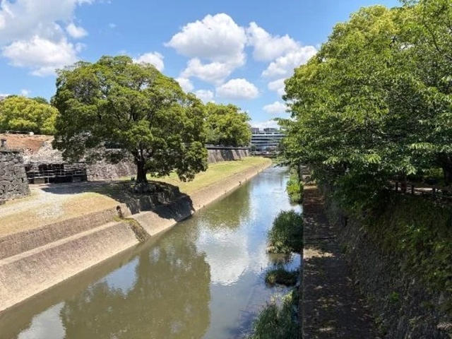 遅れました💦