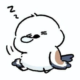 おはようございます☀︎