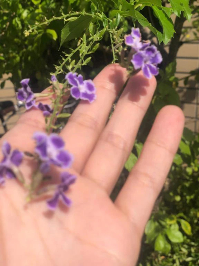 ♡♡♡｜写メ日記｜すずか｜鶯谷 人妻デリヘル 濃厚即19妻