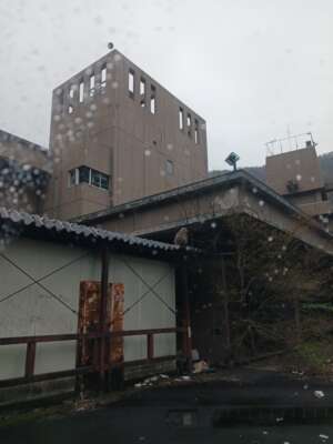 自然と遊んだ1日｜写メ日記｜高橋｜鶯谷 人妻デリヘル メガフォース