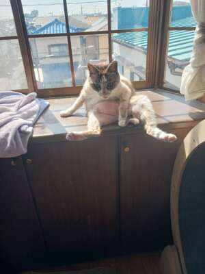 え😳❗️｜写メ日記｜高橋｜鶯谷 人妻デリヘル メガフォース