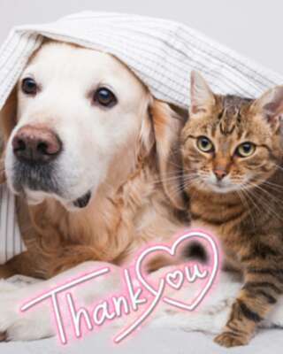 感謝〜｜写メ日記｜朝倉｜鶯谷 人妻デリヘル メガフォース