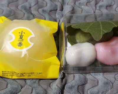 今日のお礼(´>∀<｀)ゝ｜写メ日記｜姫野｜鶯谷 人妻デリヘル メガフォース