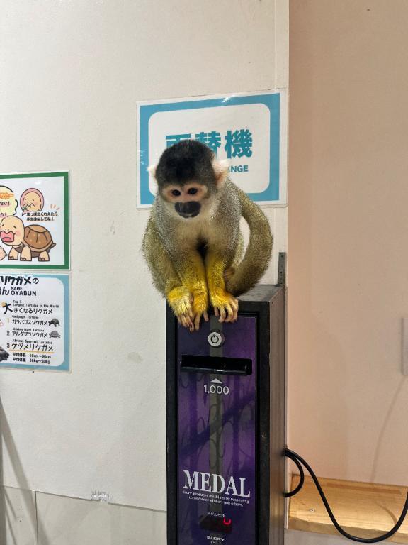 たこ焼き🐙｜写メ日記｜める｜銀座・新橋・汐留 一般デリヘル 贅沢なひと時