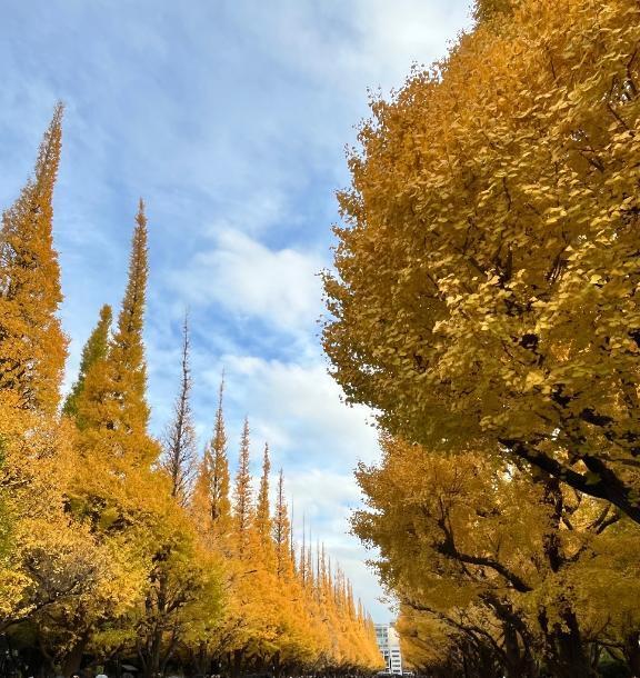 もう残りすこしで。｜写メ日記｜める｜銀座・新橋・汐留 一般デリヘル 贅沢なひと時