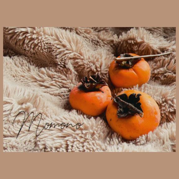 ◯◯記念日｜写メ日記｜ももの｜銀座・新橋・汐留 一般デリヘル 贅沢なひと時