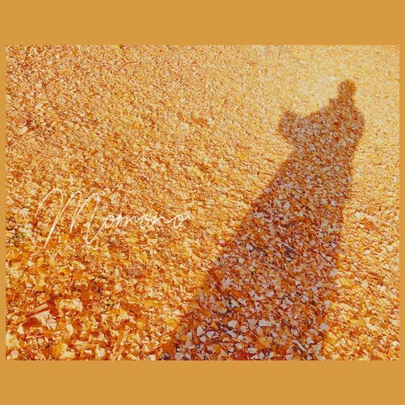 小晦日｜写メ日記｜ももの｜銀座・新橋・汐留 一般デリヘル 贅沢なひと時